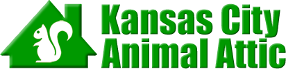 Kansas City Animal Attic